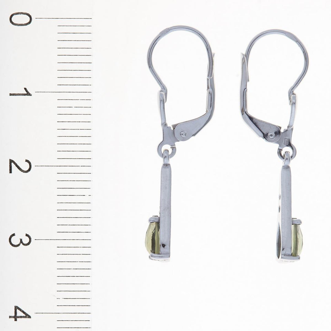 Stříbrné náušnice s vltavíny a granáty